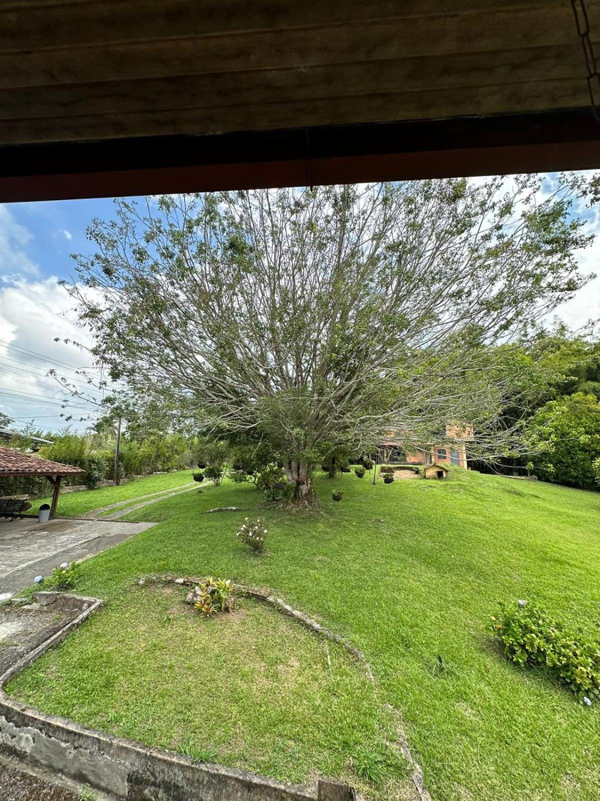 Отель Filandia - Finca Rural La Guadalupana Экстерьер фото